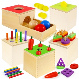 5 in 1 Wooden Play Kit (p2mt)